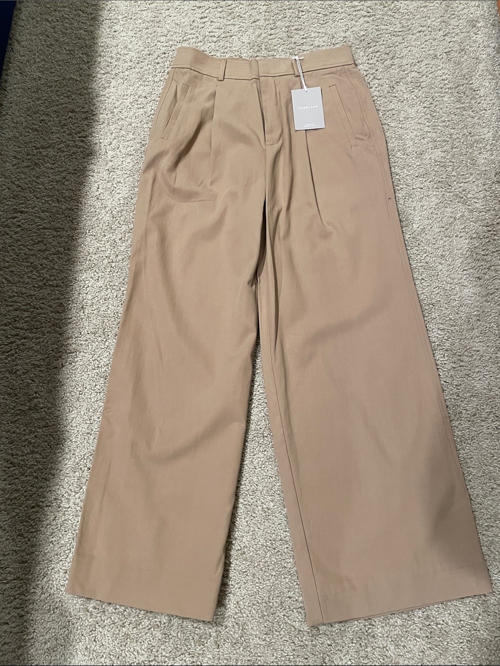 Everlane Way-High Drape Pant
